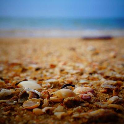 الإبداع - فنون: رحلة إبداع 853