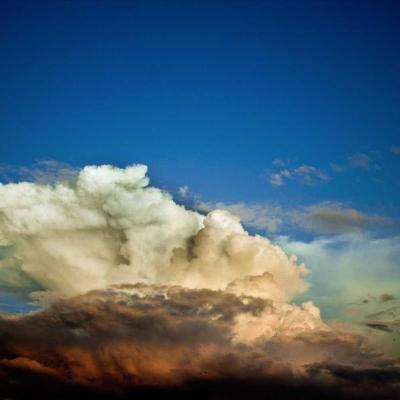 الإبداع - فنون: مقابلة مع فنان 748