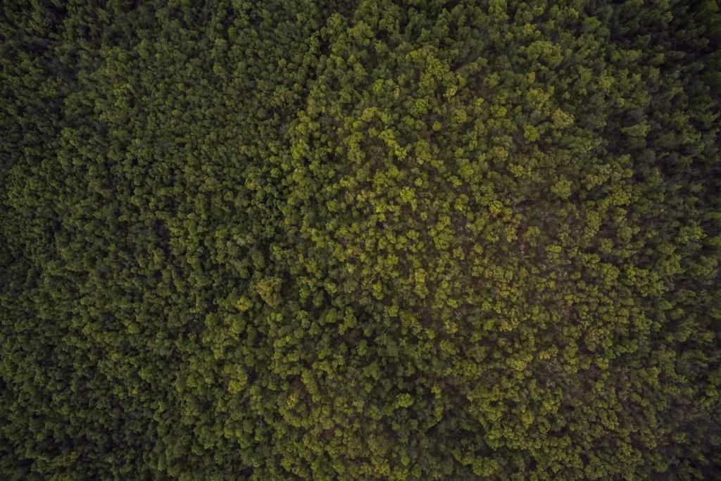 الإبداع - تصميم: ملف خاص 227