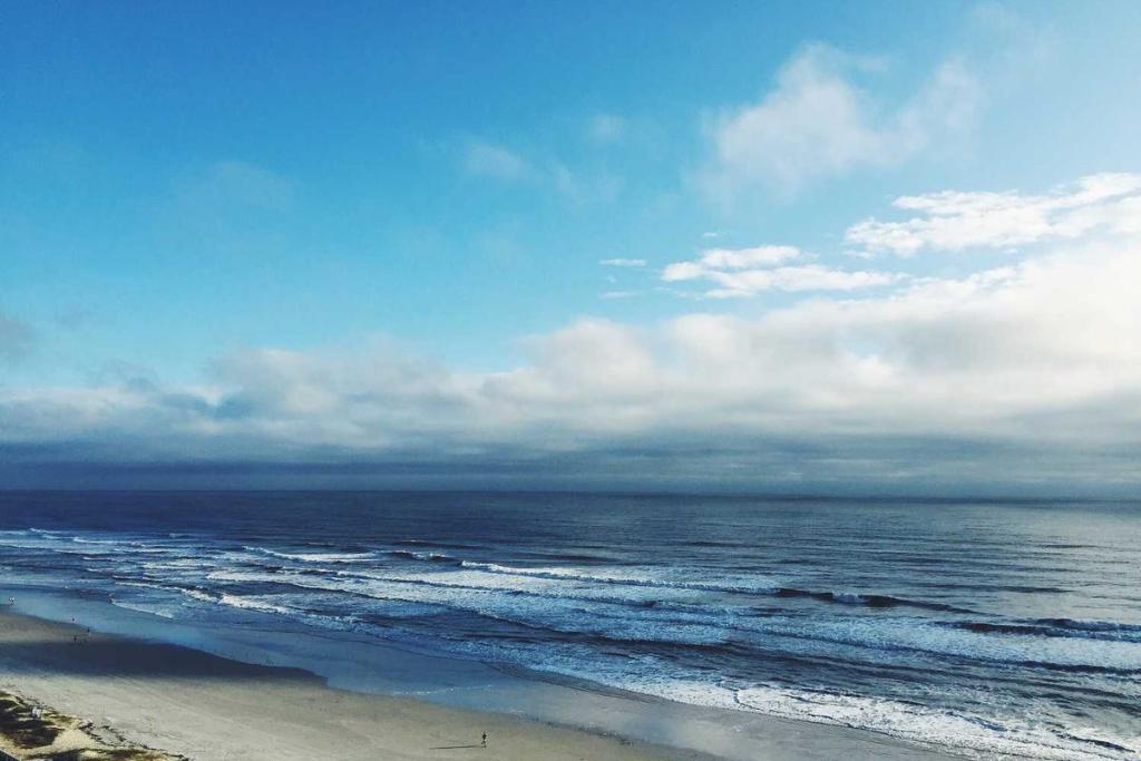 الإبتكار - ريادة الأعمال: تحولات رقمية 391