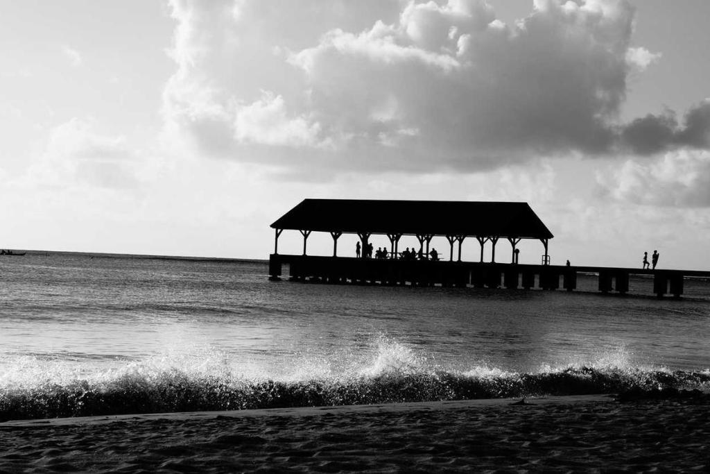 الإبتكار - الذكاء الاصطناعي: مشاريع ناشئة 244