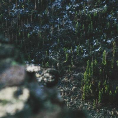 الإبتكار - علوم المستقبل: أفكار ريادية 796