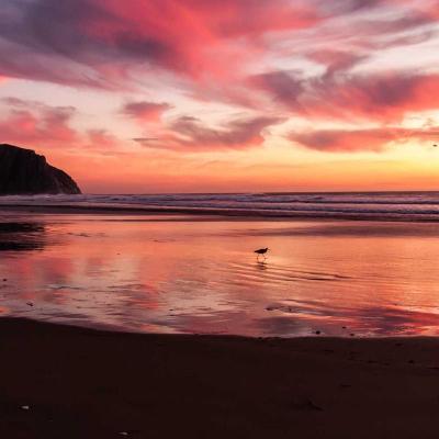 الإبتكار - علوم المستقبل: تحولات رقمية 920