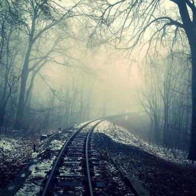 حياة - تغذية: قصص واقعية 507