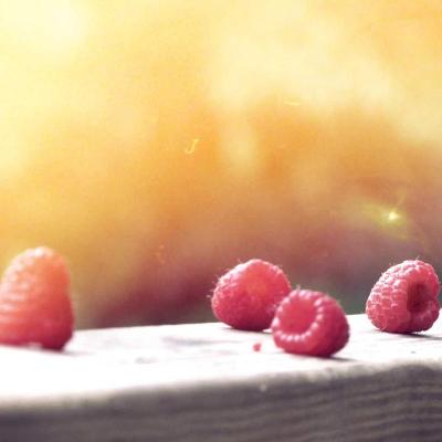 العلوم والمعرفة - فضاء: بحث علمي 523