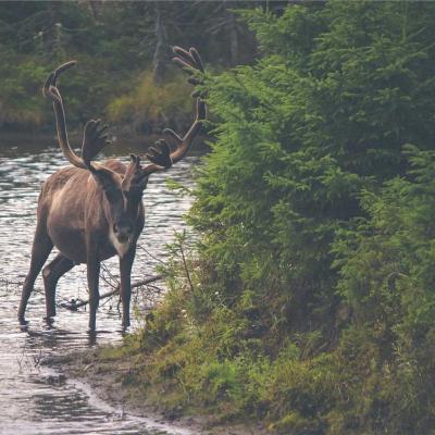 العلوم والمعرفة - طب: تجربة ميدانية 295