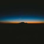 العلوم والمعرفة - بيولوجيا: بحث علمي 851