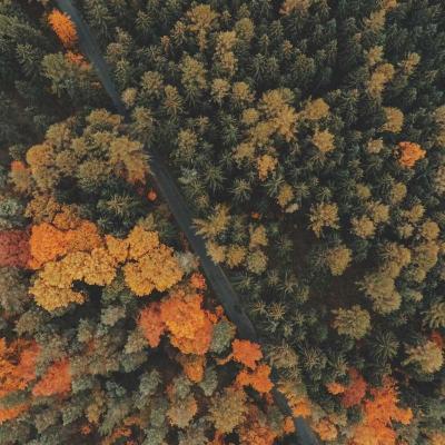 العلوم والمعرفة - بيولوجيا: تطور تقني 195