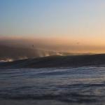 العلوم والمعرفة - بيولوجيا: بحث علمي 702