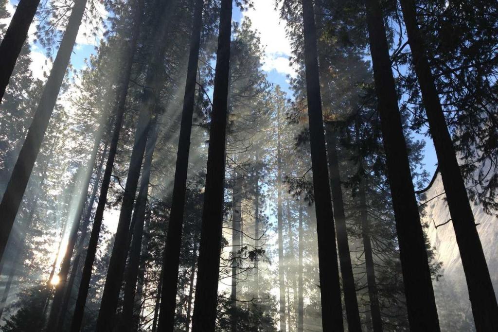 العلوم والمعرفة - تربية وتعليم: اكتشاف جديد 194