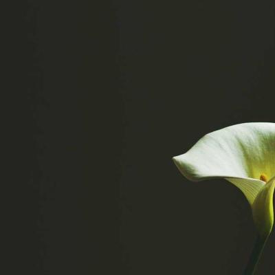 العلوم والمعرفة - تربية وتعليم: ملف علمي 172