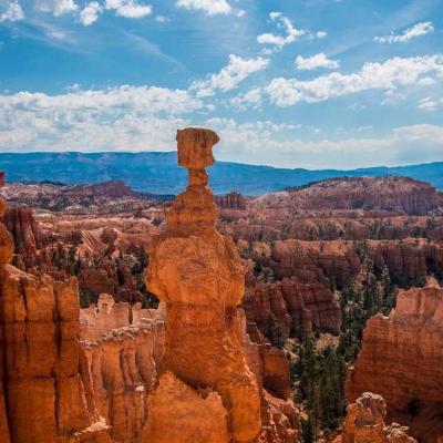 إسرائيل: المعارضة 542