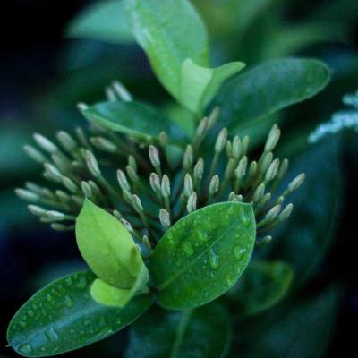 العالم: اللاجئين 854