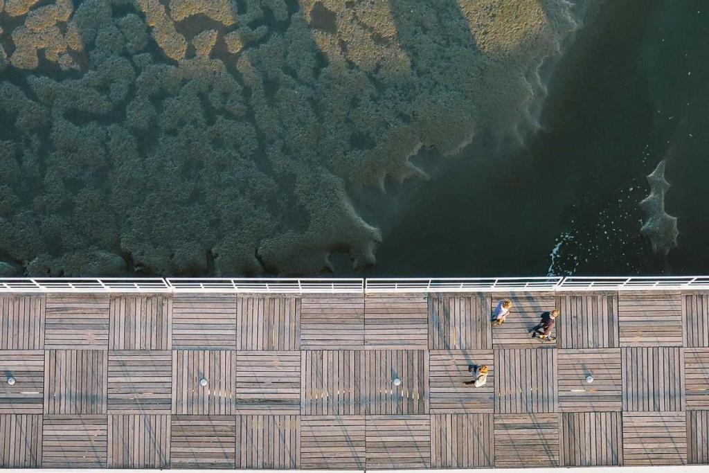 السياسة: محادثات دبلوماسية 415