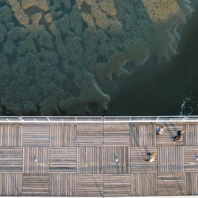 السياسة: محادثات دبلوماسية 415