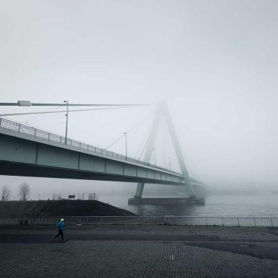 السياسة: اختبار 001