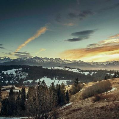 أعمال: التقنيات 460