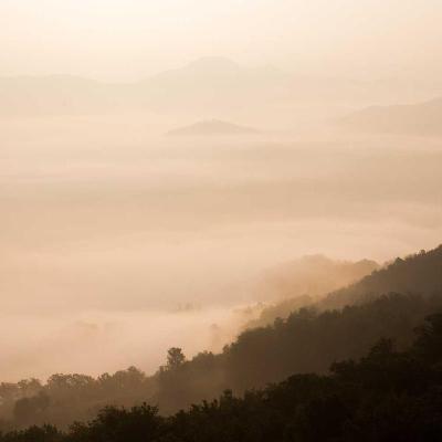 مال وأسواق: الذهب 834