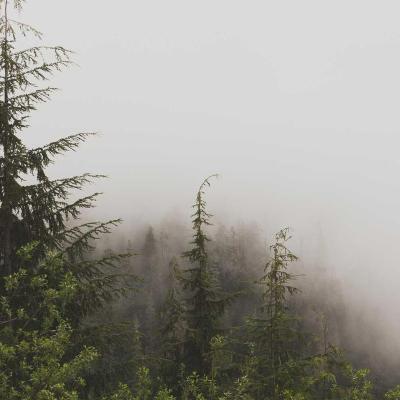 مال وأسواق: النفط 727