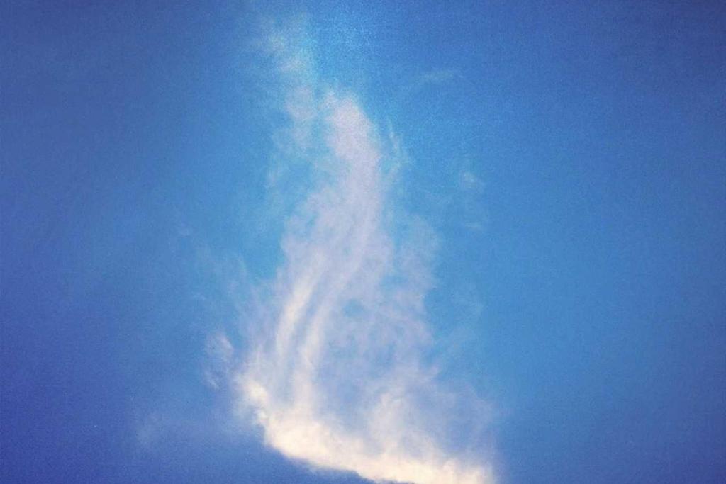 أحوال الناس: الدعم الاجتماعي 527