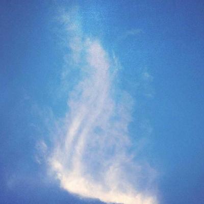 أحوال الناس: الدعم الاجتماعي 527