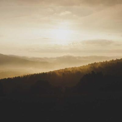 أحوال الناس: الدعم الاجتماعي 296