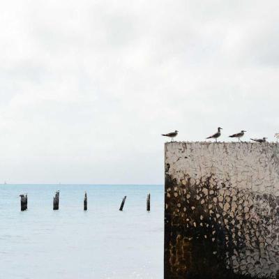 أميركا: العقوبات 508