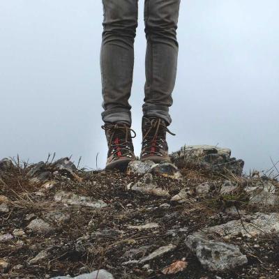 رسومات: إنفوغرافيك 251