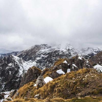 كيف ولماذا؟: تحليل سبب/نتيجة 572