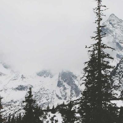 حديث الساعة: ماذا يحدث الآن؟ 807