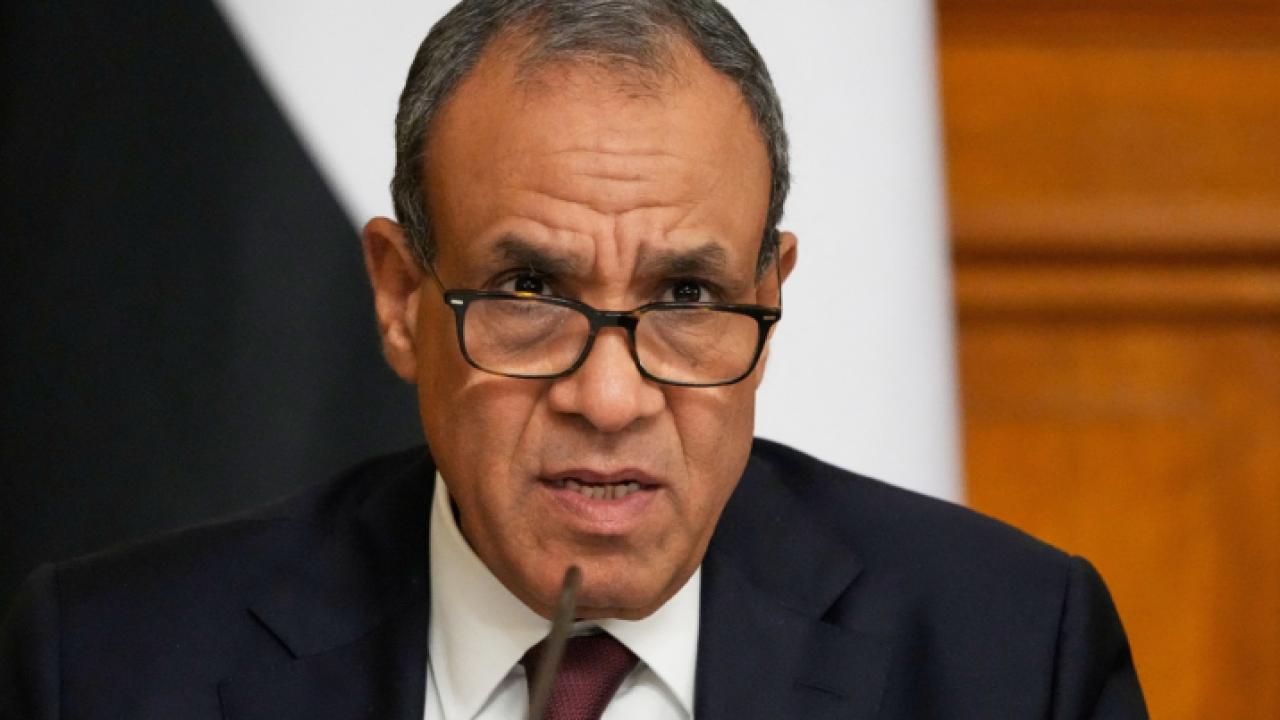 وزيرا خارجية مصر والإمارات يبحثان تطورات المنطقة