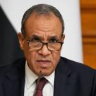وزيرا خارجية مصر والإمارات يبحثان تطورات المنطقة
