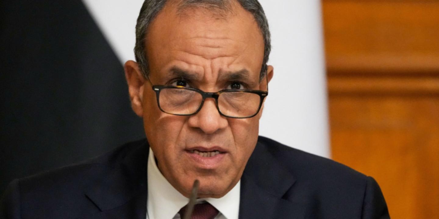 وزيرا خارجية مصر والإمارات يبحثان تطورات المنطقة