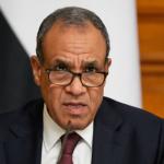 وزيرا خارجية مصر والإمارات يبحثان تطورات المنطقة