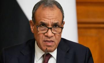 وزيرا خارجية مصر والإمارات يبحثان تطورات المنطقة