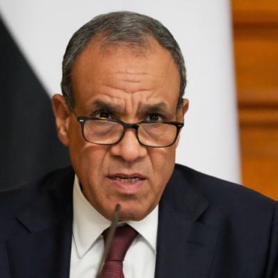 وزيرا خارجية مصر والإمارات يبحثان تطورات المنطقة