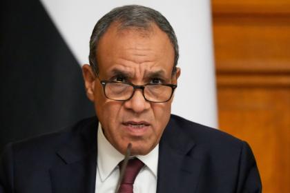 وزيرا خارجية مصر والإمارات يبحثان تطورات المنطقة
