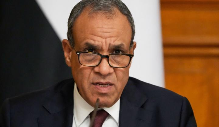 وزيرا خارجية مصر والإمارات يبحثان تطورات المنطقة