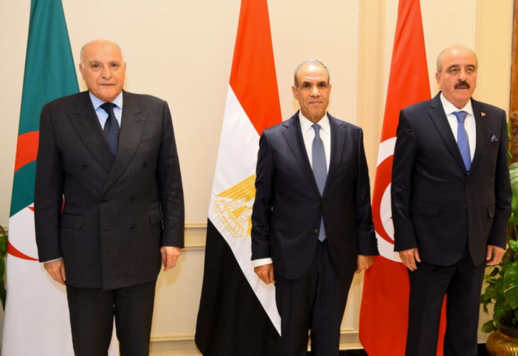 وزير الخارجية المصري: التهدئة والحوار لتجنب سيناريو الفوضى الإقليمية