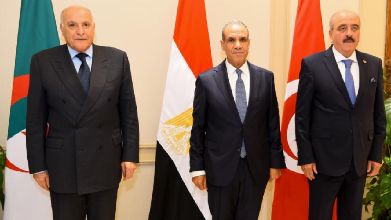 وزير الخارجية المصري: التهدئة والحوار لتجنب سيناريو الفوضى الإقليمية