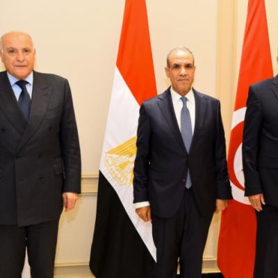 وزير الخارجية المصري: التهدئة والحوار لتجنب سيناريو الفوضى الإقليمية