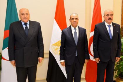 وزير الخارجية المصري: التهدئة والحوار لتجنب سيناريو الفوضى الإقليمية