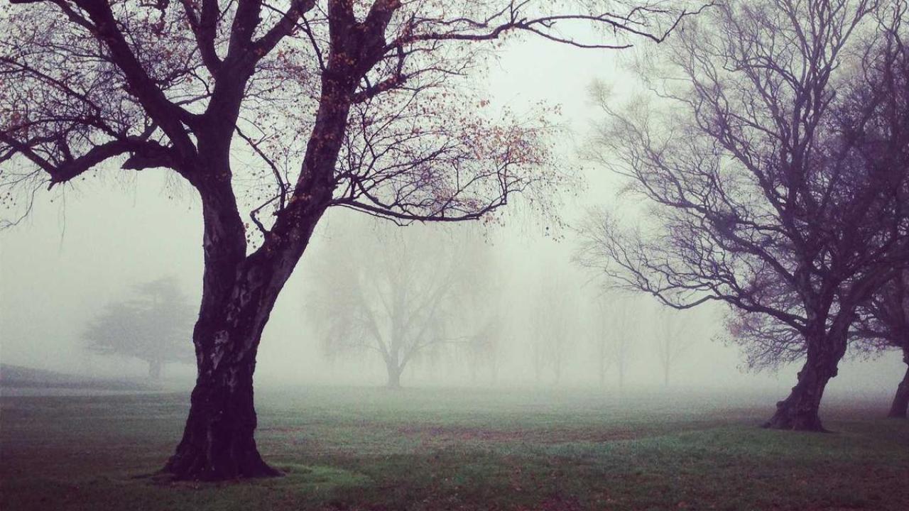 الآراء: وجهة نظر 691