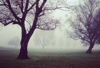 الآراء: وجهة نظر 691