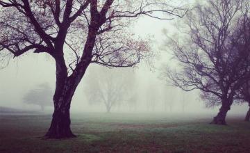 الآراء: وجهة نظر 691