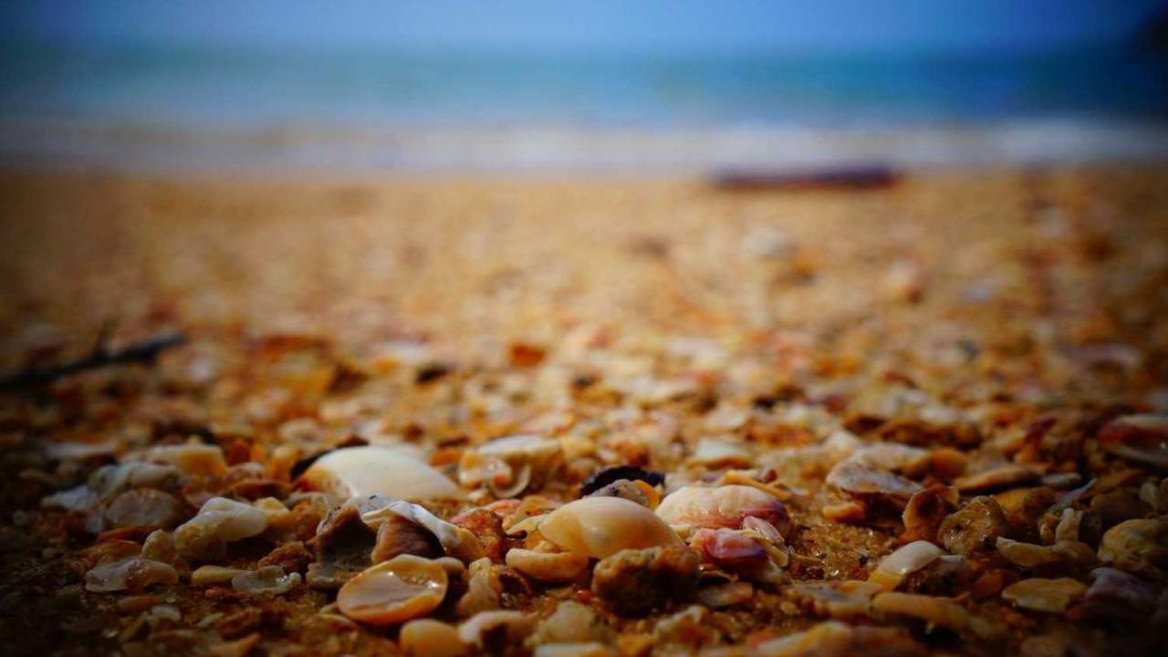 الإبداع - فنون: رحلة إبداع 853