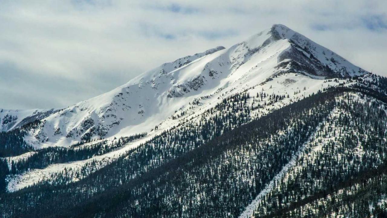 الإبداع - تصوير: رؤى جديدة 115