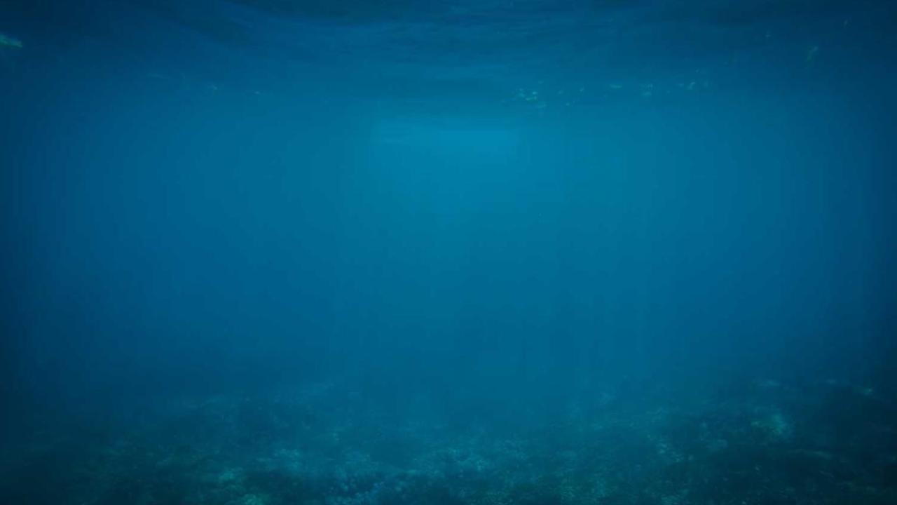 الإبداع - سينما: تجارب فنية 873