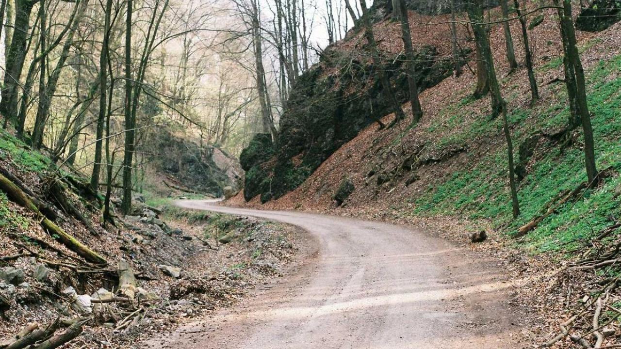 العلوم والمعرفة - طب: تجربة ميدانية 637