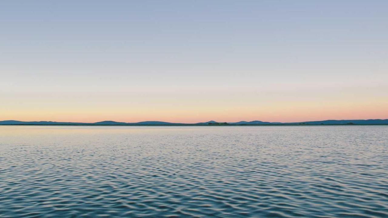 فلسطين: الضفة الغربية 563